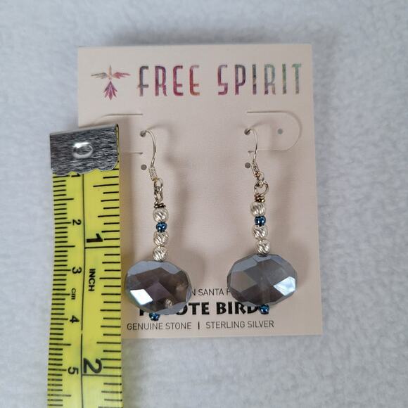 Peyote Bird Womens Dangle Earrings 1.5" Blue Crystals Iridescent Beaded Hook - Picture 4 of 4